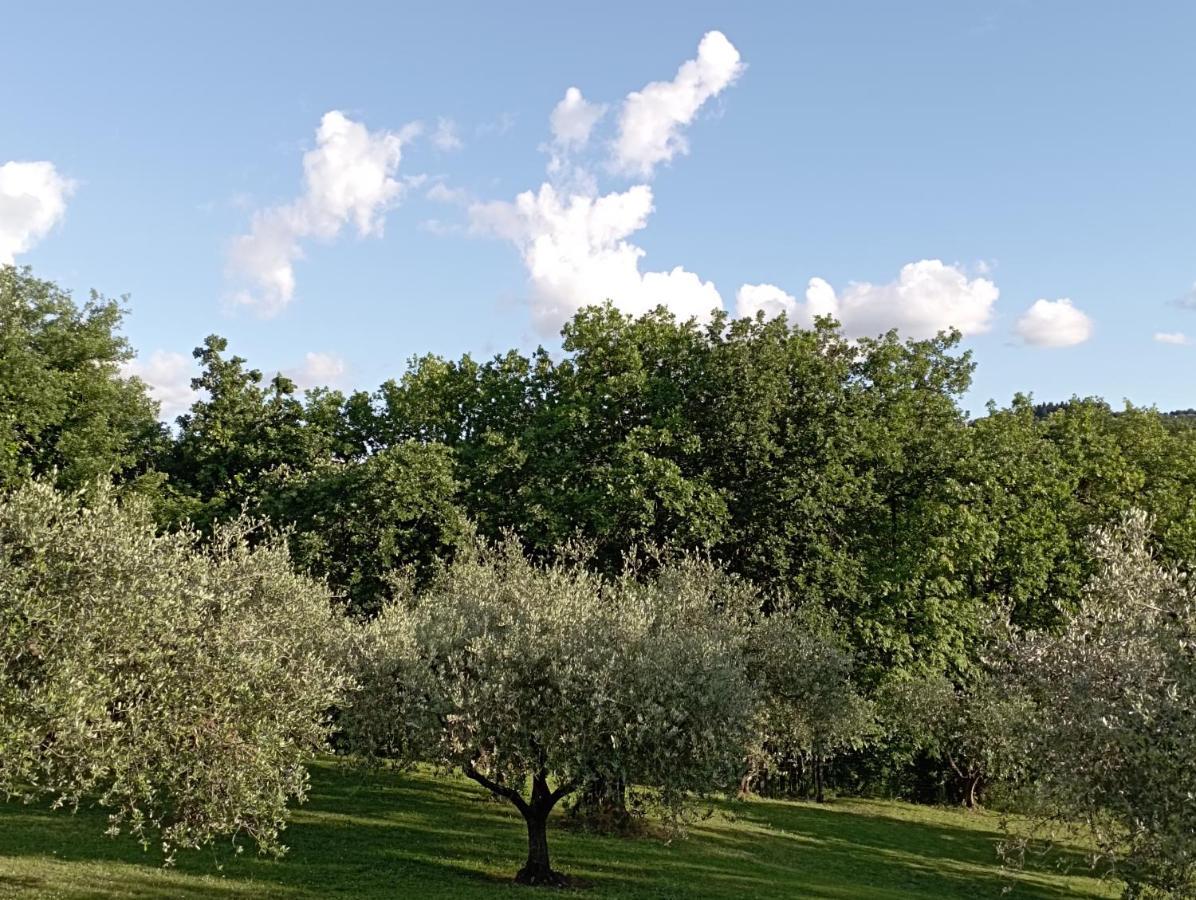 Villa Luna Comeana Bagian luar foto