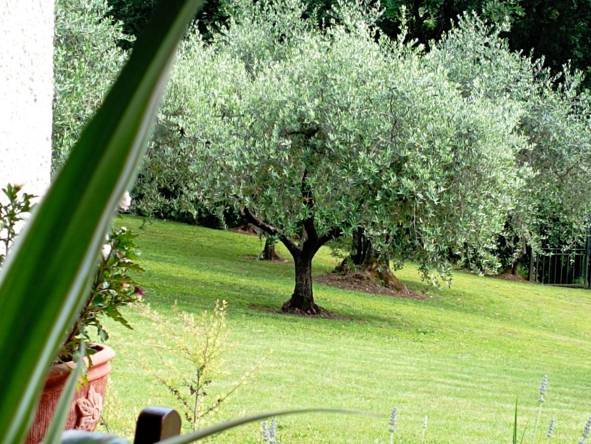 Villa Luna Comeana Bagian luar foto
