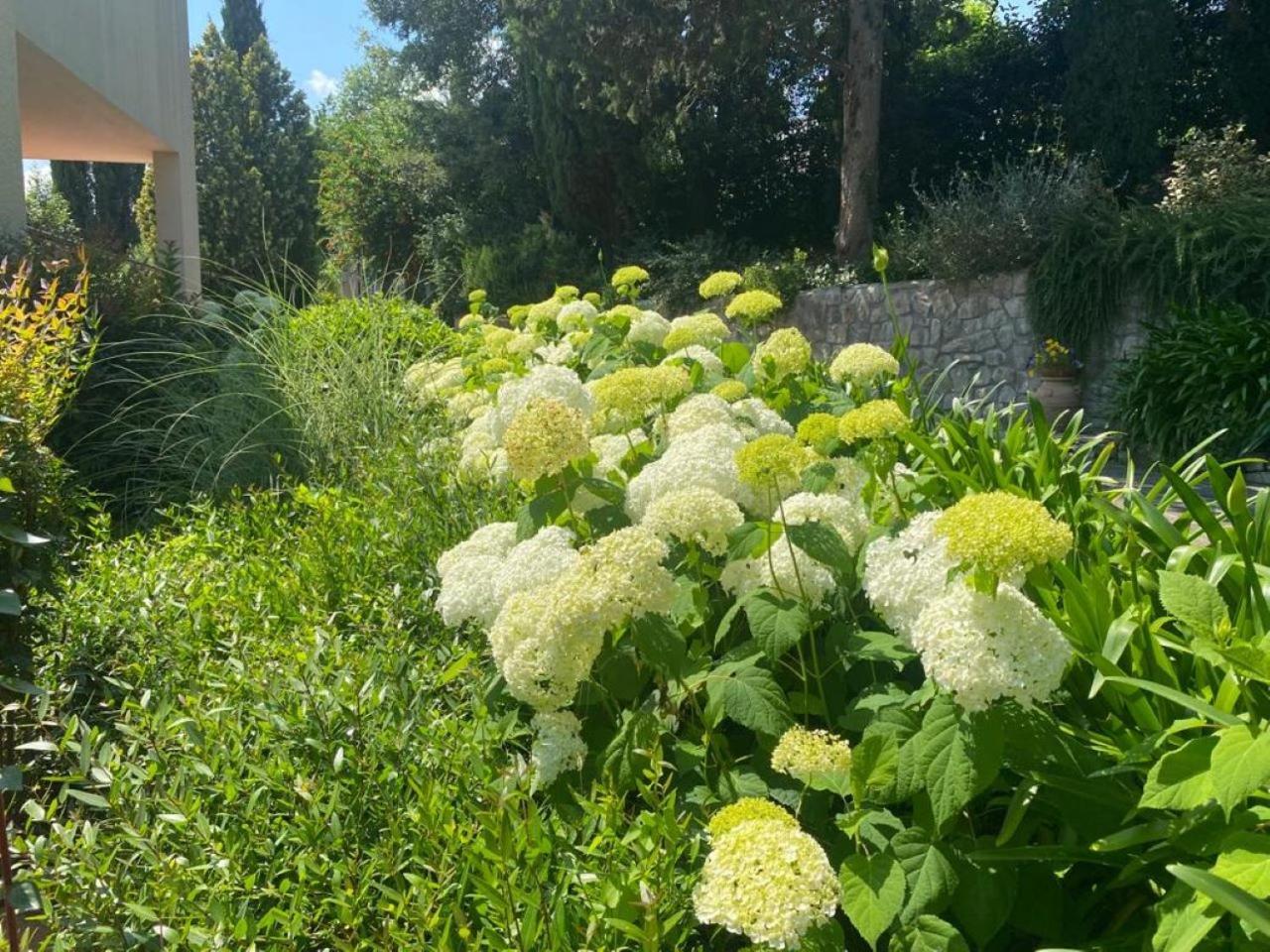 Villa Luna Comeana Bagian luar foto