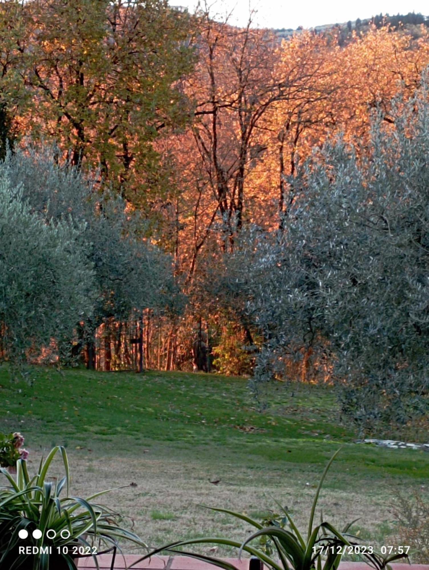 Villa Luna Comeana Bagian luar foto